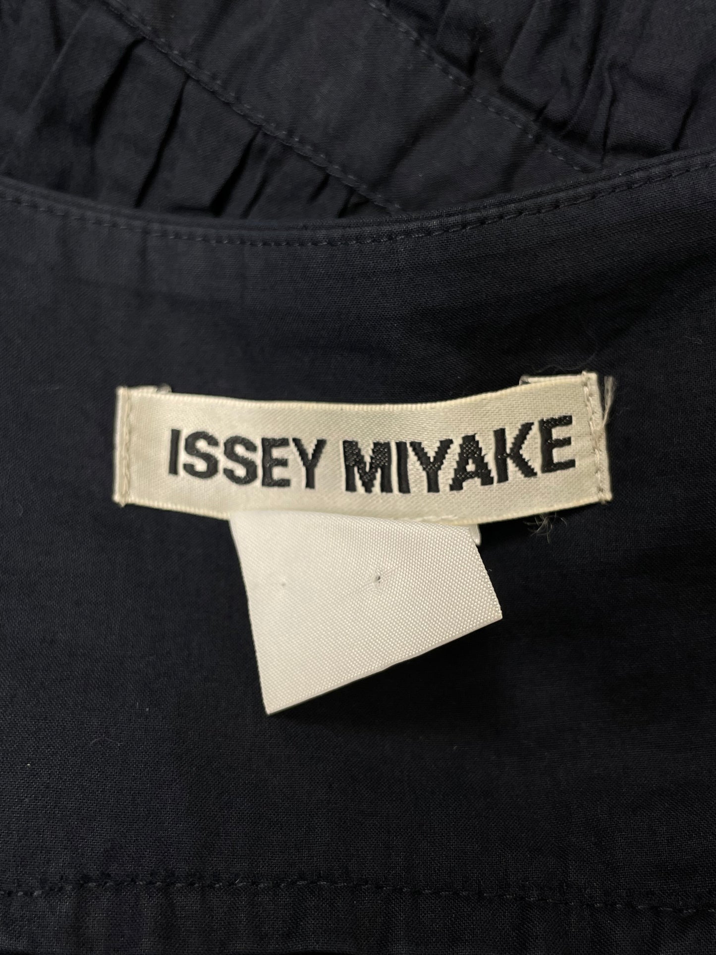 Issey Miyake 2004 Pleated Midi Skirt (M)