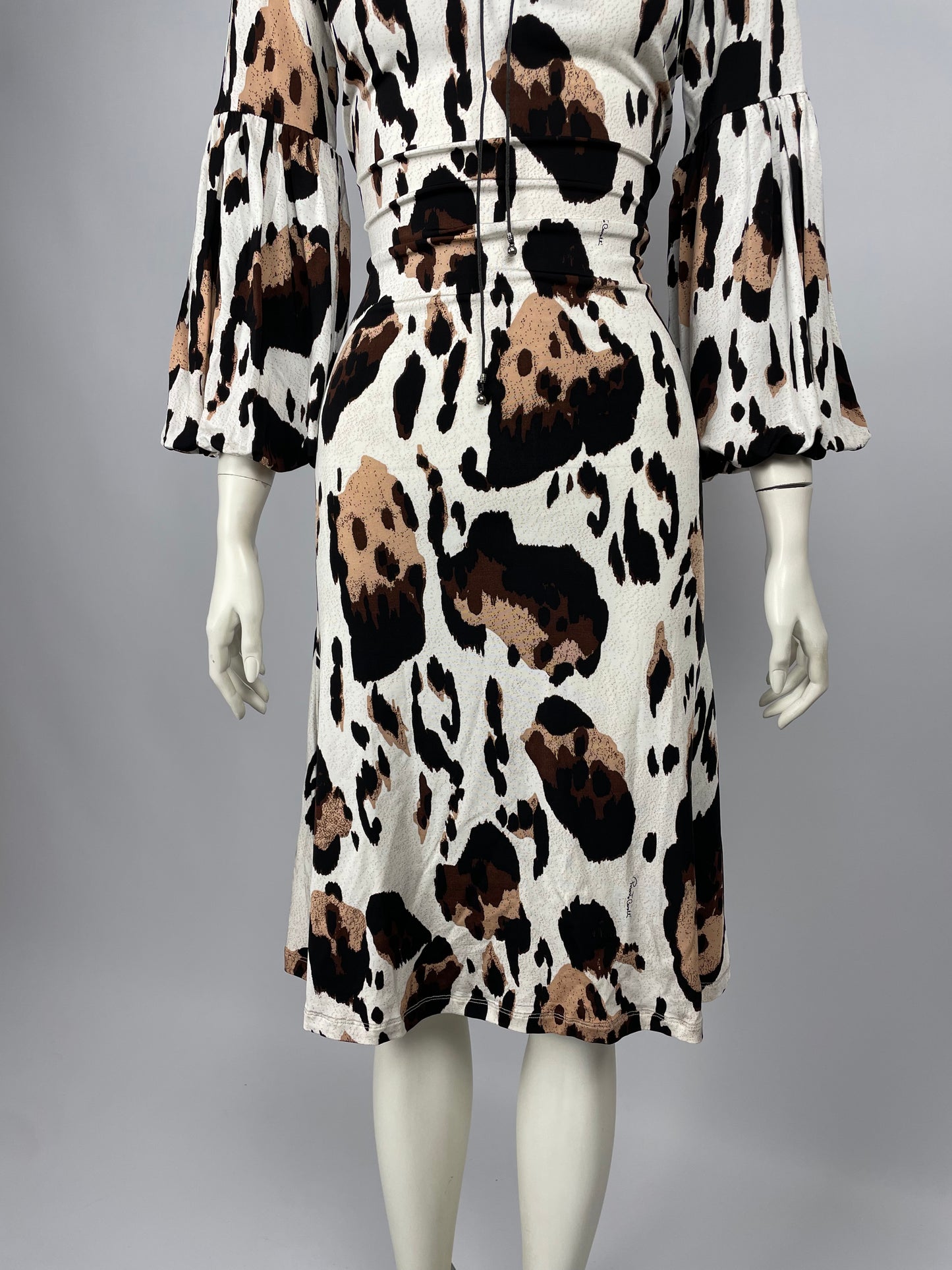 Roberto Cavalli 2008 Animal Print maxi dress