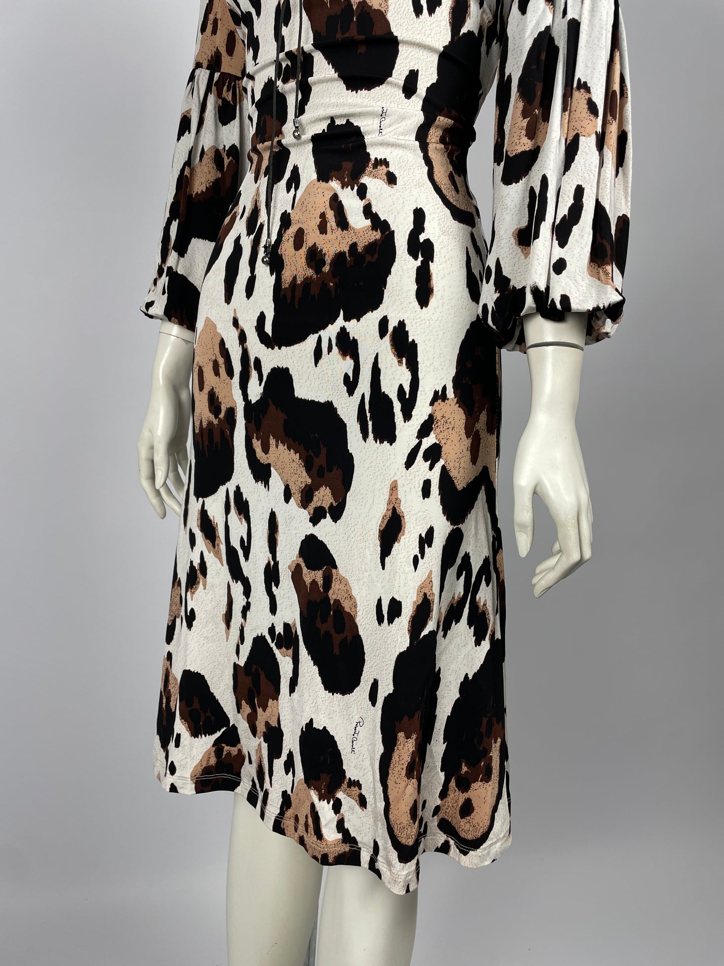 Roberto Cavalli 2008 Animal Print maxi dress