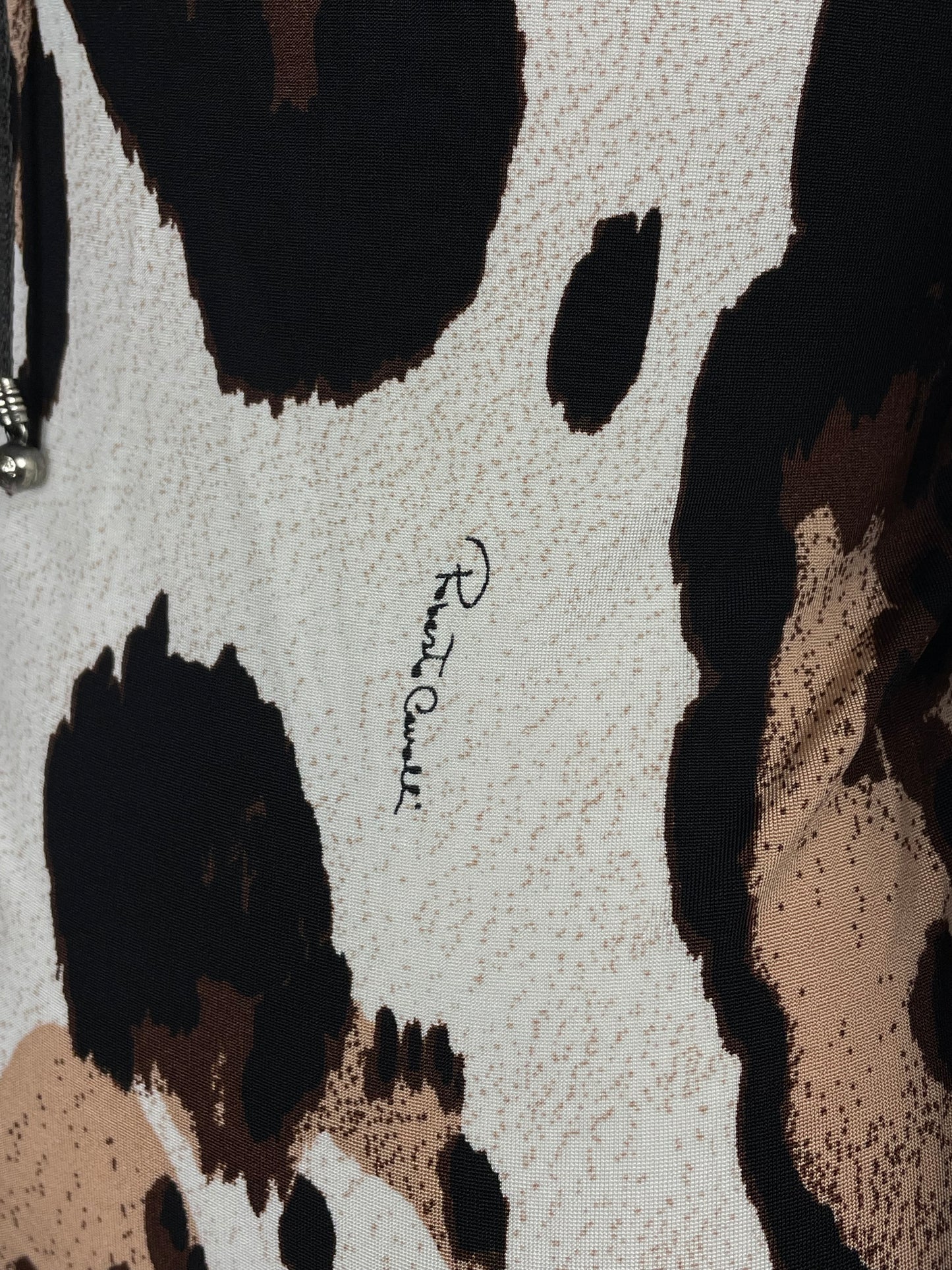 Roberto Cavalli 2008 Animal Print maxi dress