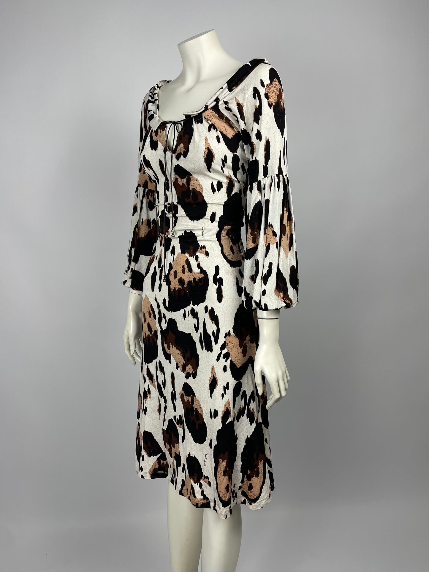 Roberto Cavalli 2008 Animal Print maxi dress