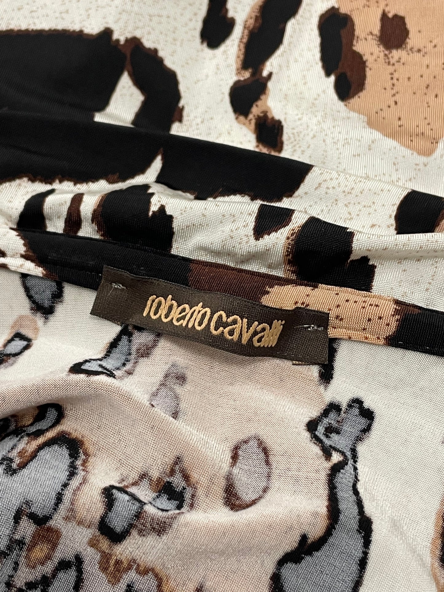 Roberto Cavalli 2008 Animal Print maxi dress