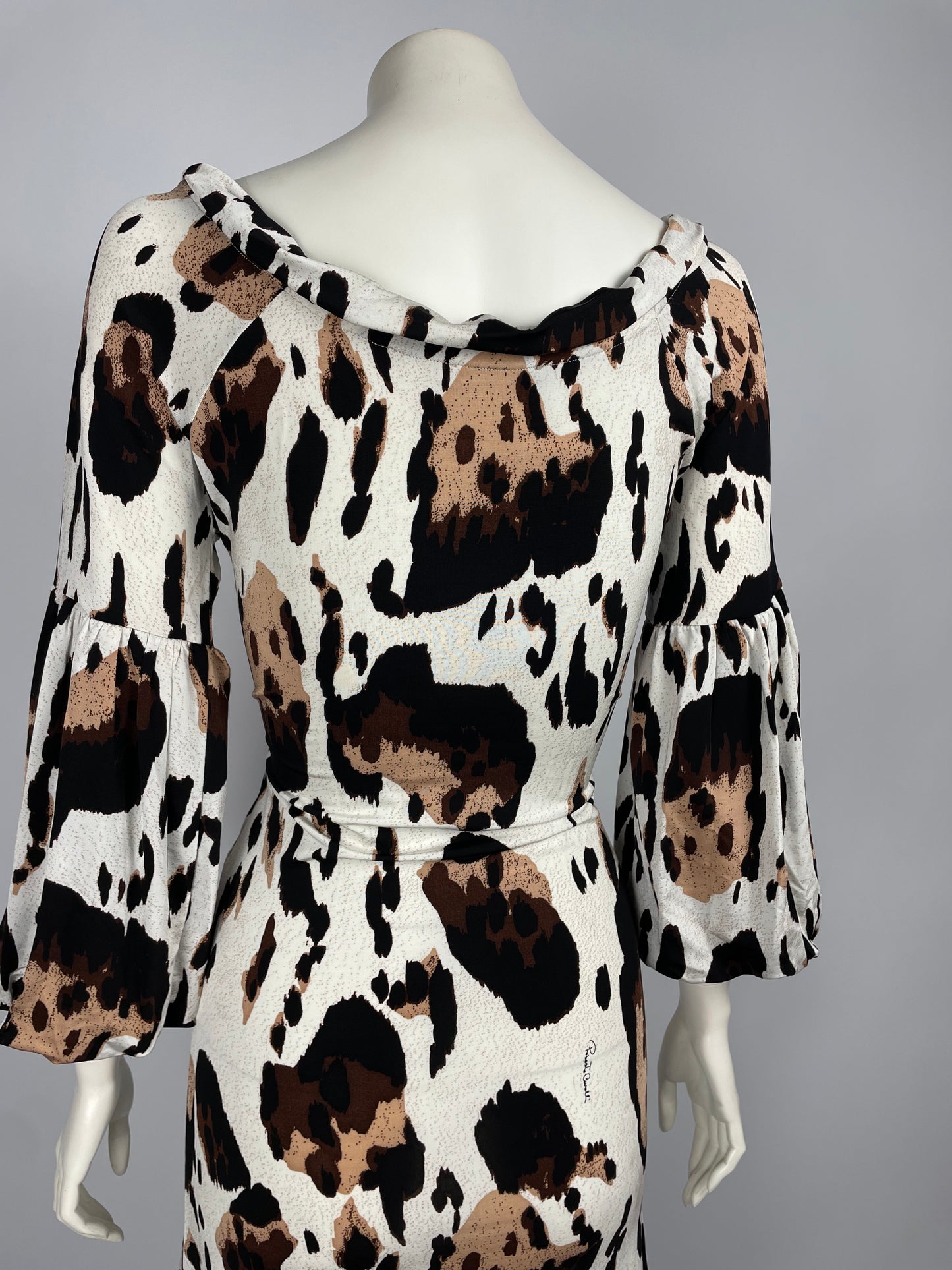 Roberto Cavalli 2008 Animal Print maxi dress