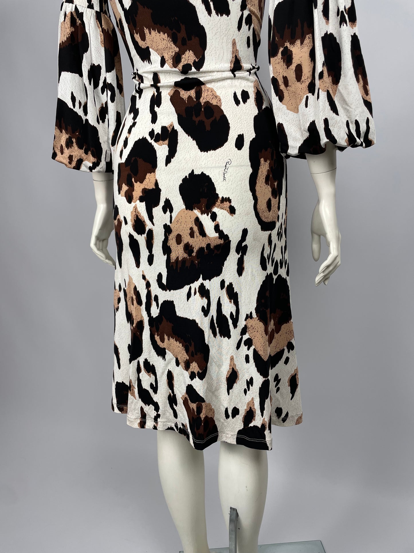 Roberto Cavalli 2008 Animal Print maxi dress